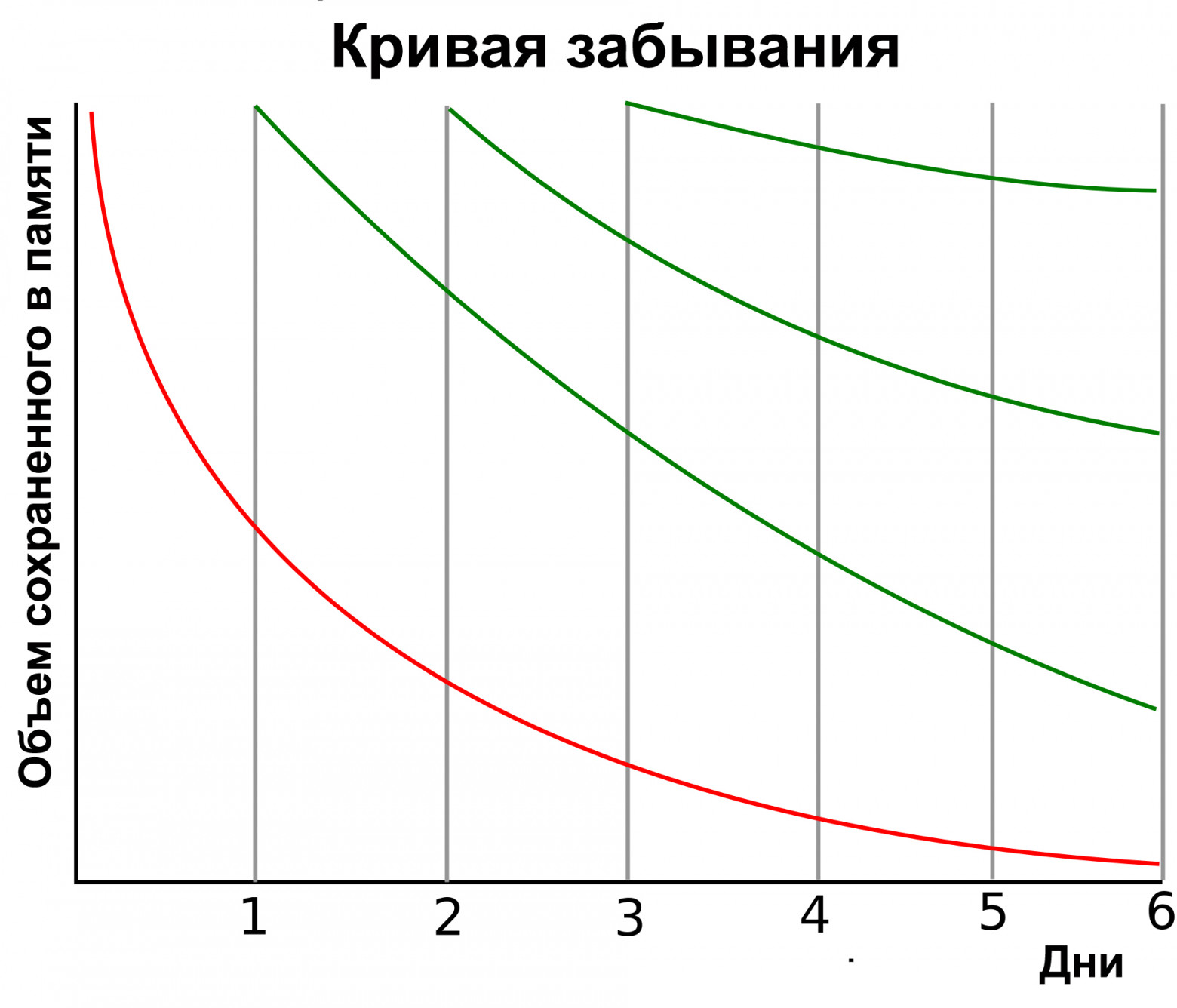 Кривая забывания