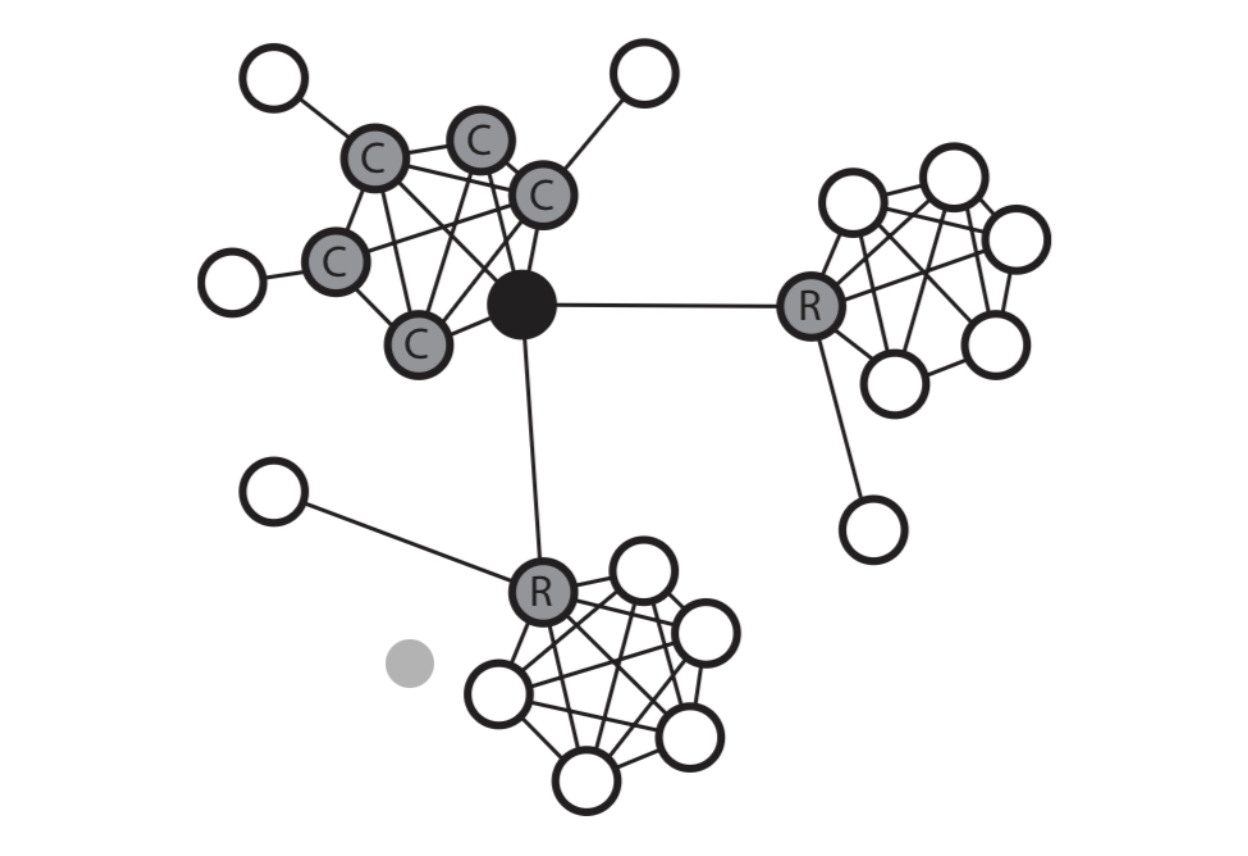 Близкие друзья узла (C) и случайные друзья (R)