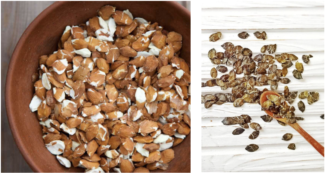 Жмых абрикосовой косточки, натуральный сорбент, и жмых семян тыквы — полезен для печени и мужского здоровья