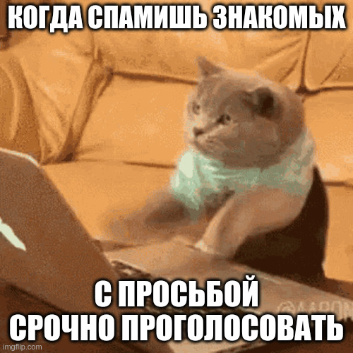 Когда просишь знакомых срочно проголосовать