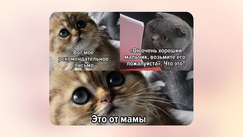 Синхронизация ожиданий: как мы унифицировали процесс IT-найма во Flowwow - 3