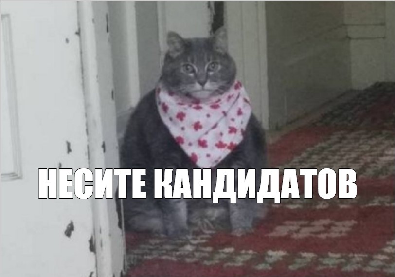 Синхронизация ожиданий: как мы унифицировали процесс IT-найма во Flowwow - 1