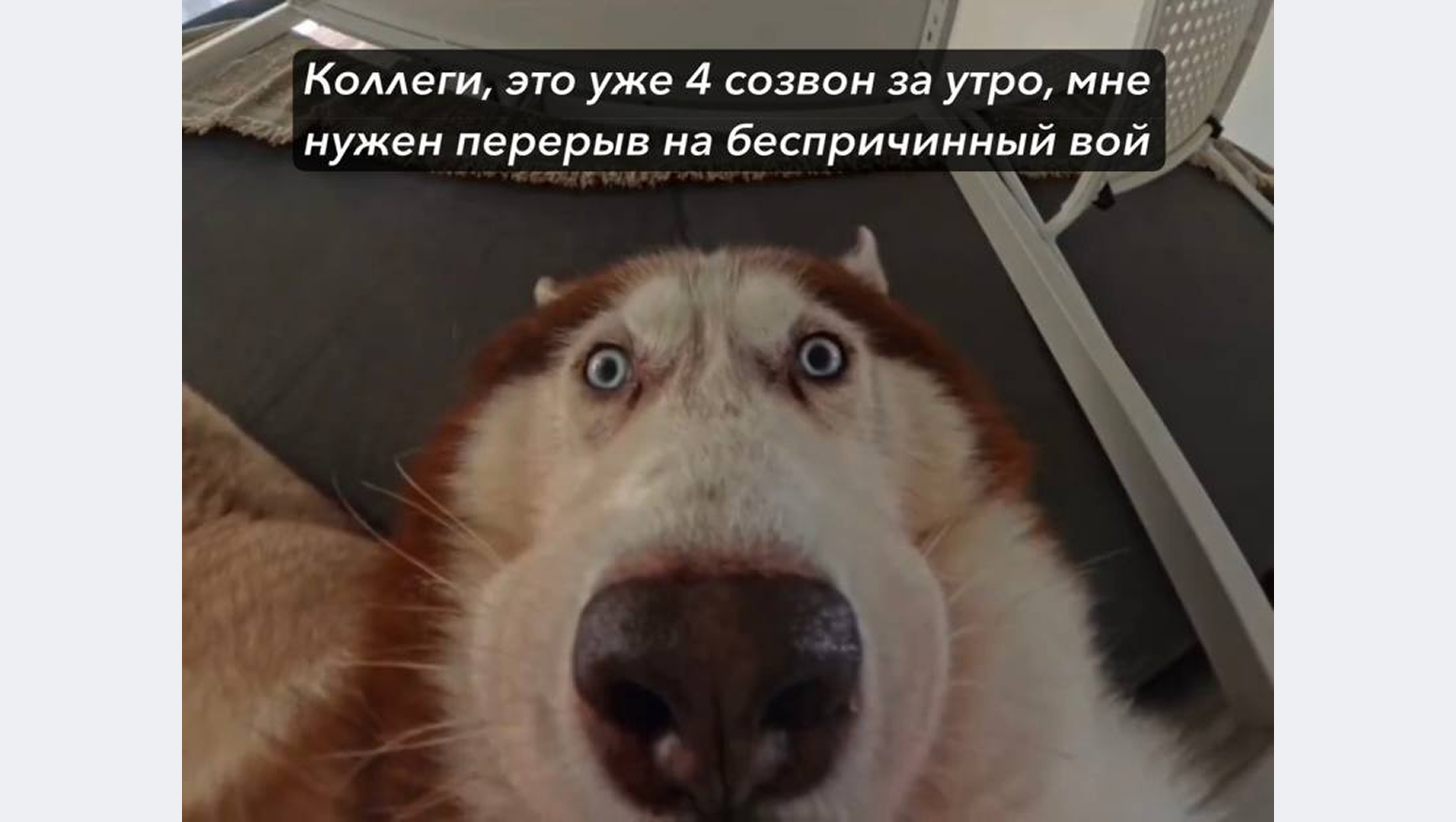 Тимлид в эпоху ИИ: кто он и почему одного крутого кода недостаточно - 11