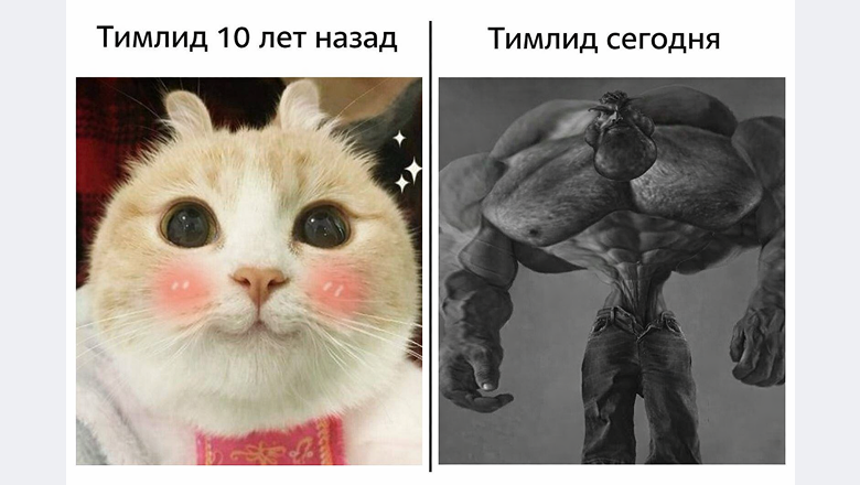 Тимлид в эпоху ИИ: кто он и почему одного крутого кода недостаточно - 1