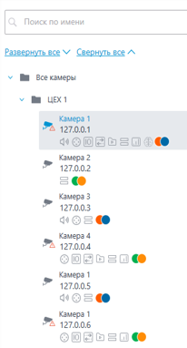 Информация о камерах в Дереве камер Macroscop 4.4