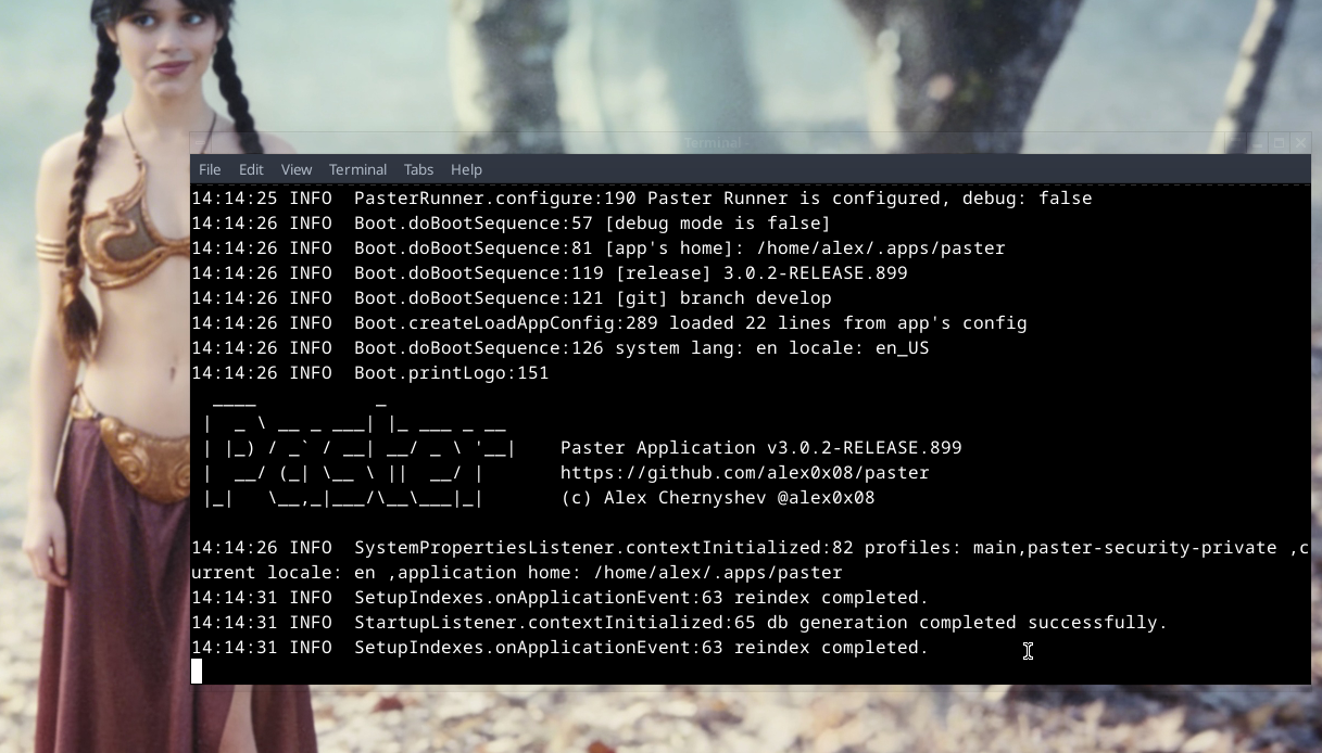 Так выглядит запуск последней версии Пастера с помощью встроенного Jetty 12