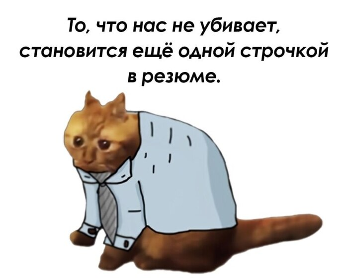 Почему IT-найм сломан — и что будет с рынком в 2026 году - 3