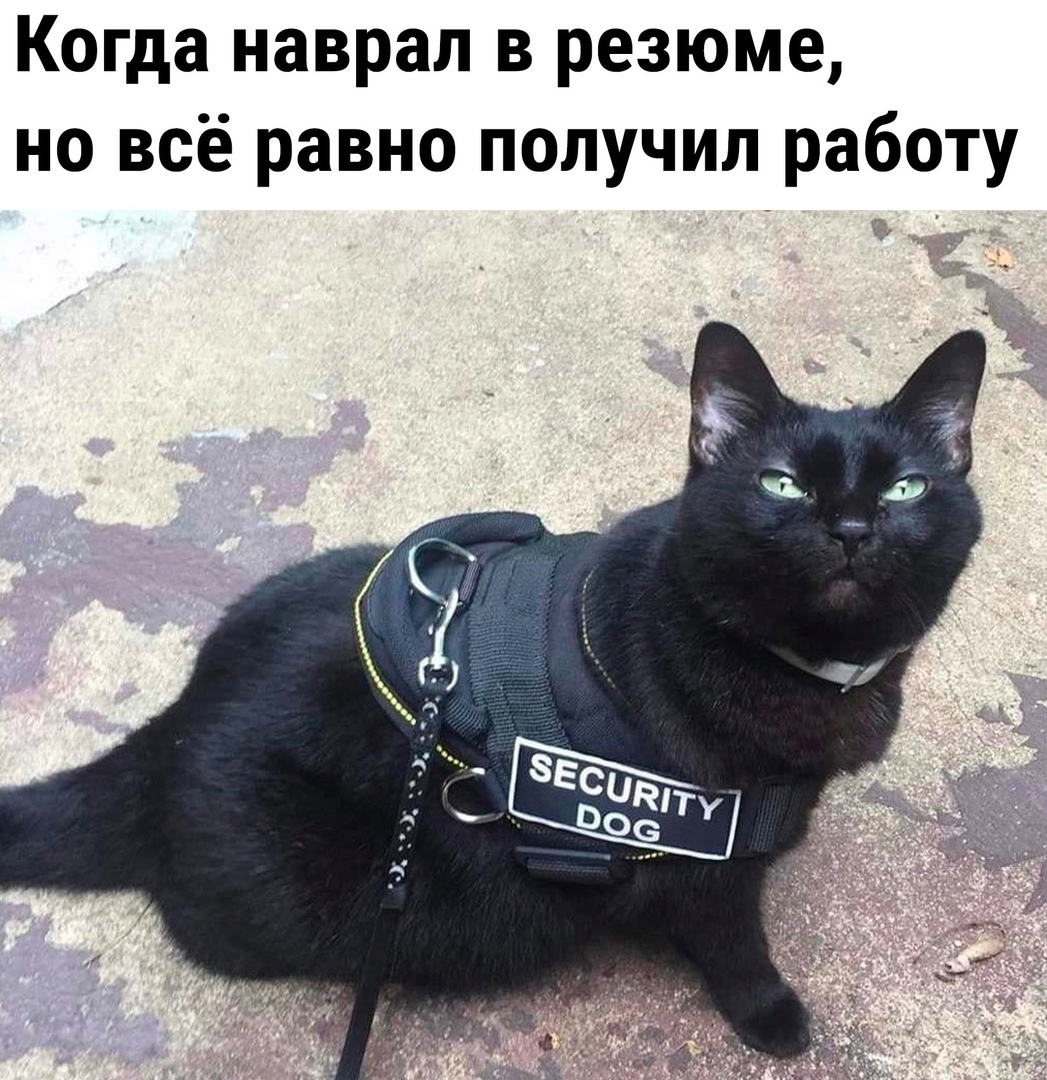 Почему IT-найм сломан — и что будет с рынком в 2026 году - 1