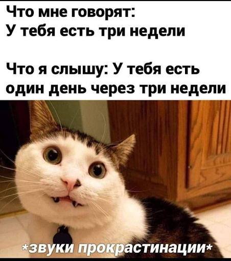 Почему после коротких видео и ленты так тяжело вернуться к нормальной работе - 4 Почему после коротких видео и ленты так тяжело вернуться к нормальной работе - 4