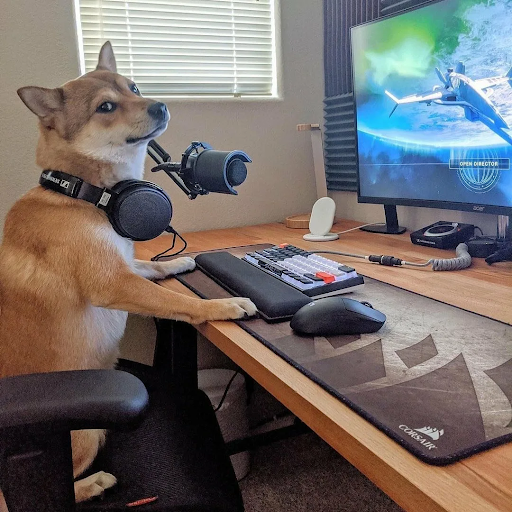 Почему после коротких видео и ленты так тяжело вернуться к нормальной работе - 1 Почему после коротких видео и ленты так тяжело вернуться к нормальной работе - 1