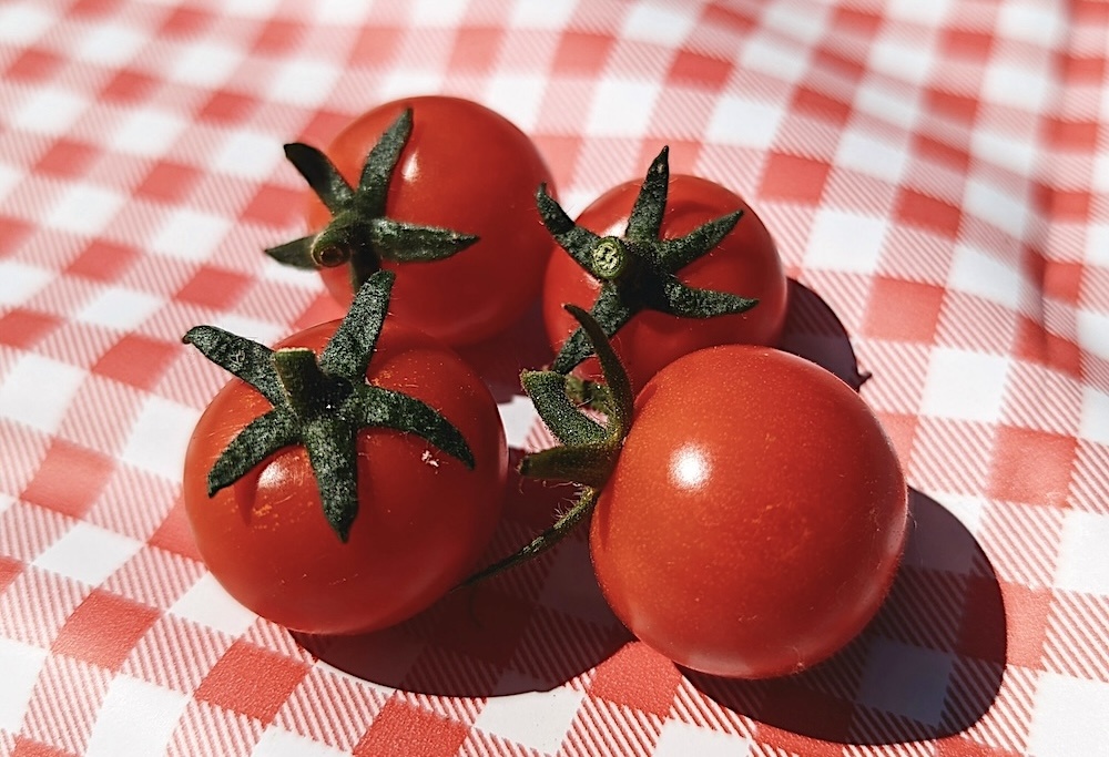 Изображение: Adam Bouse (Unsplash License)