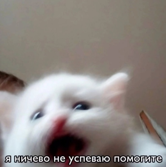 Успеть за 44 часа: как мы разработали и запустили новую услугу в режиме аврала - 6