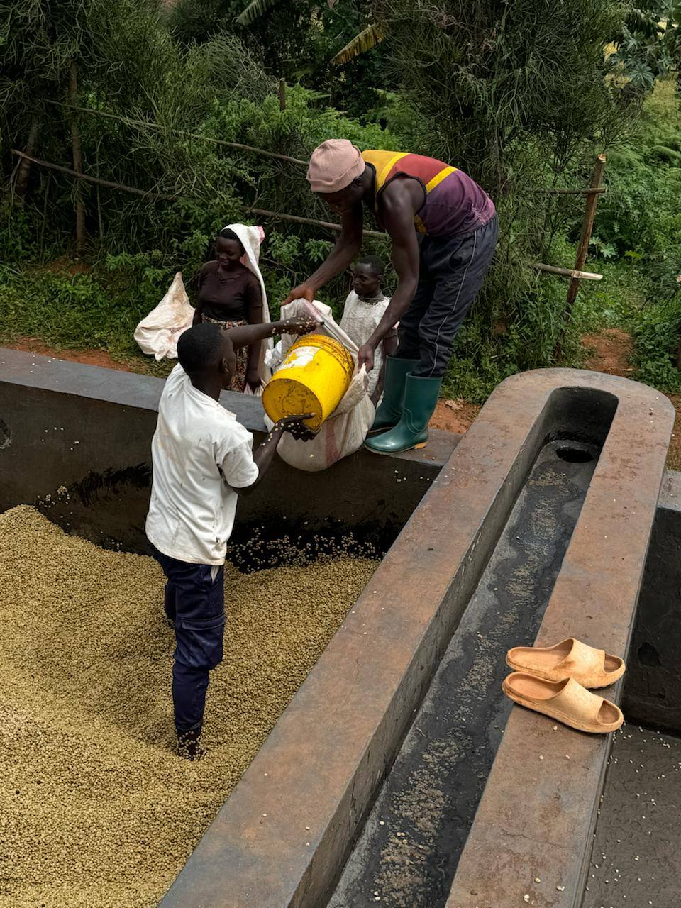 Я вложил всего 50 тысяч рублей в мешок кофе и дорос до выручки 14 миллионов в месяц - 3