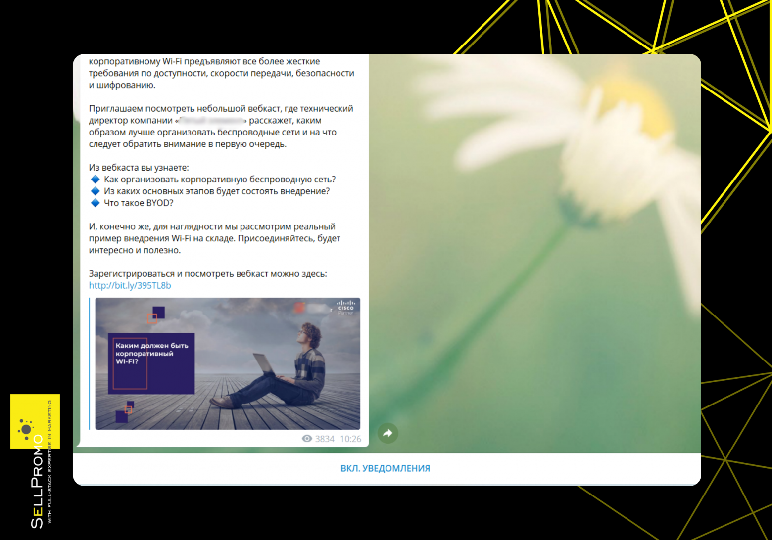Элемент рекламных материалов для одного из партнёров
