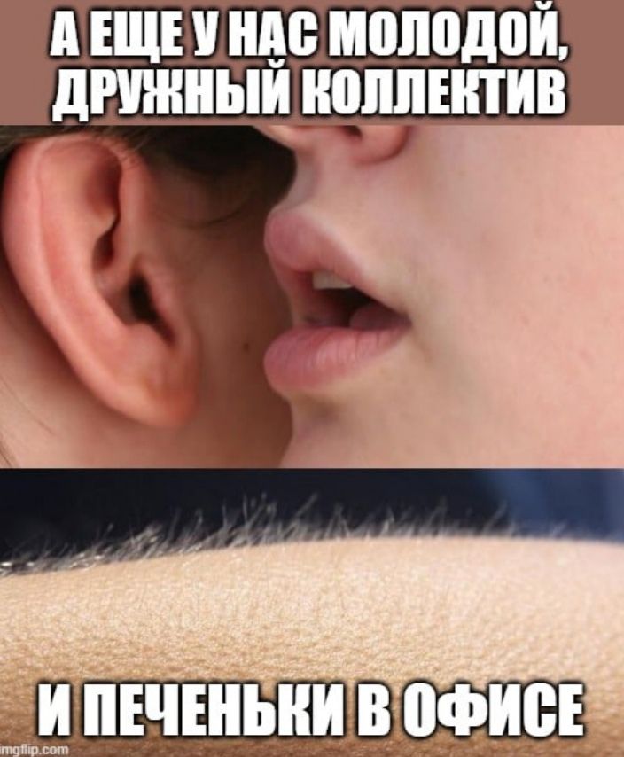 Почему ваш корпоративный английский — это «очередная печенька» - 1