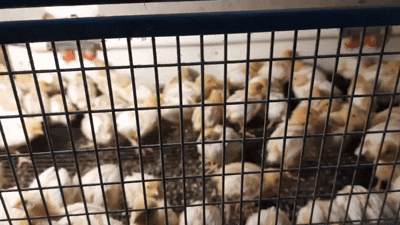 А этим пацанам и девчонкам уже 10 дней