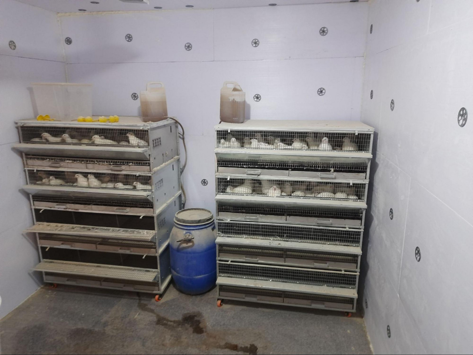 Четвёртая попытка начать с нуля. Кажется, получилось