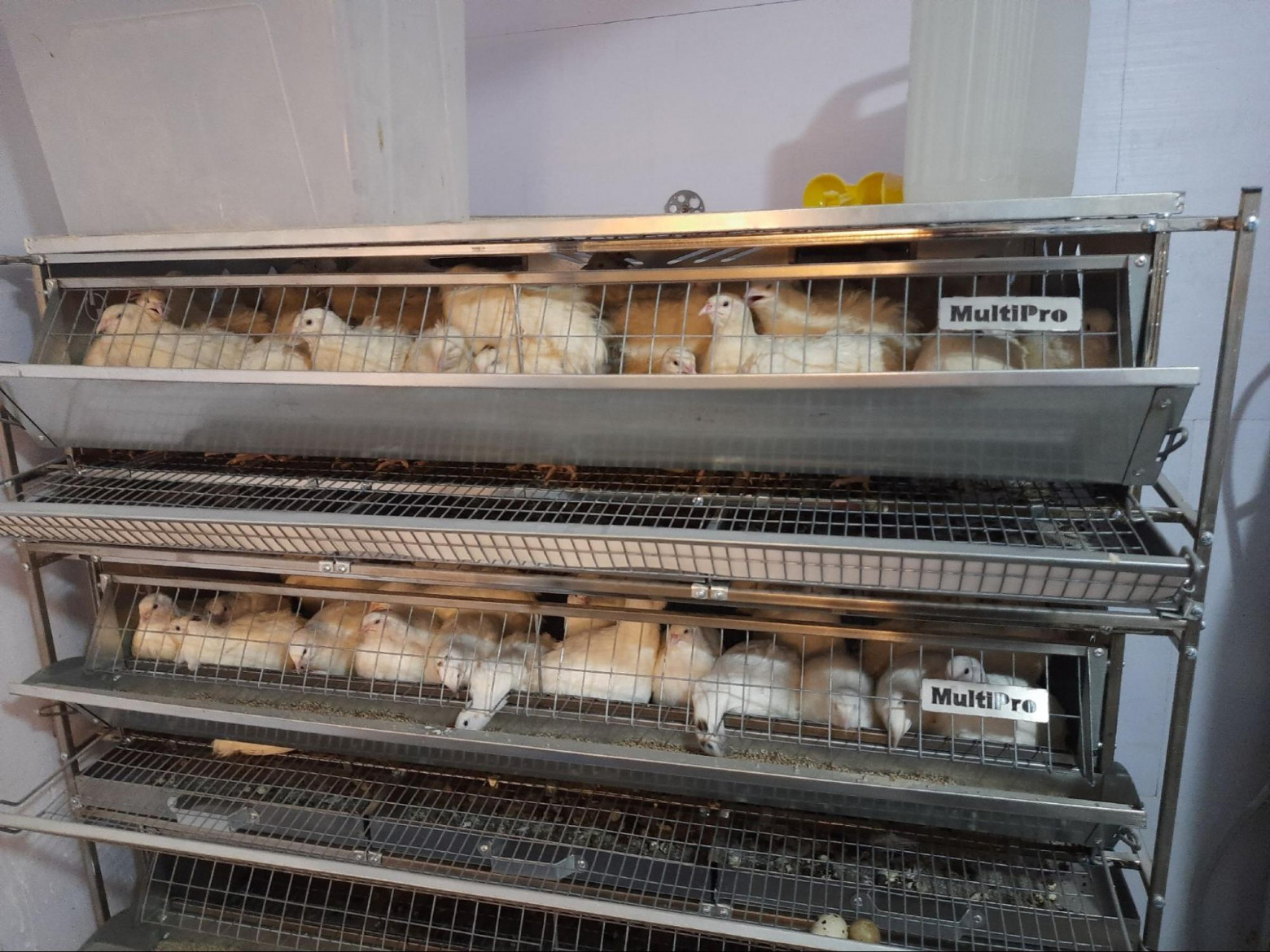 Нержавейка работает уже два года и ничего не сгнило. 