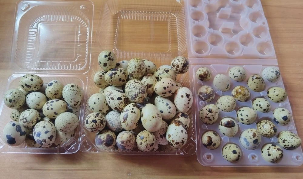 Производим около 10 тысяч штук в месяц.