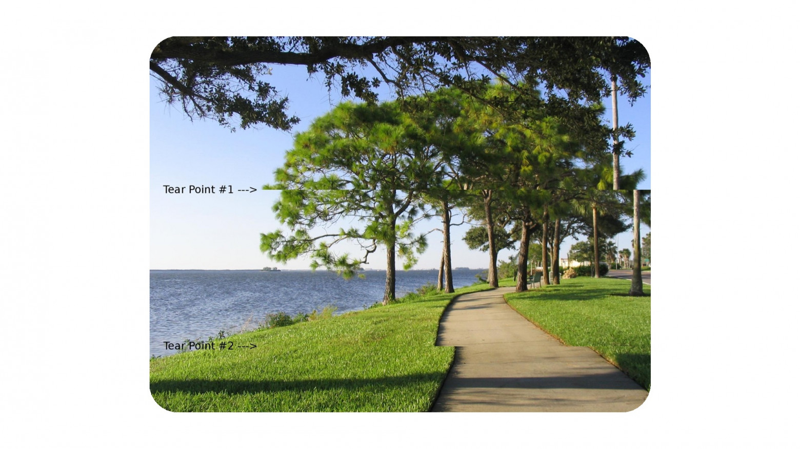 Как я две недели дебажил React: история одного голосового - 18