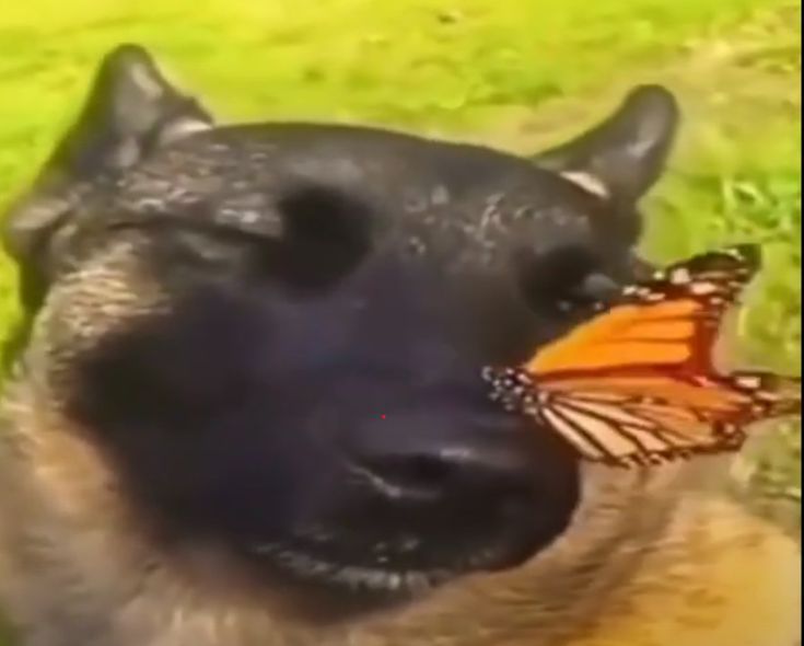 радуюсь офферу