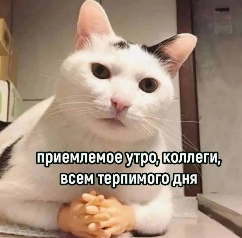 Почему IT-специалисты остаются: что работает на удержание в 2026 году - 1