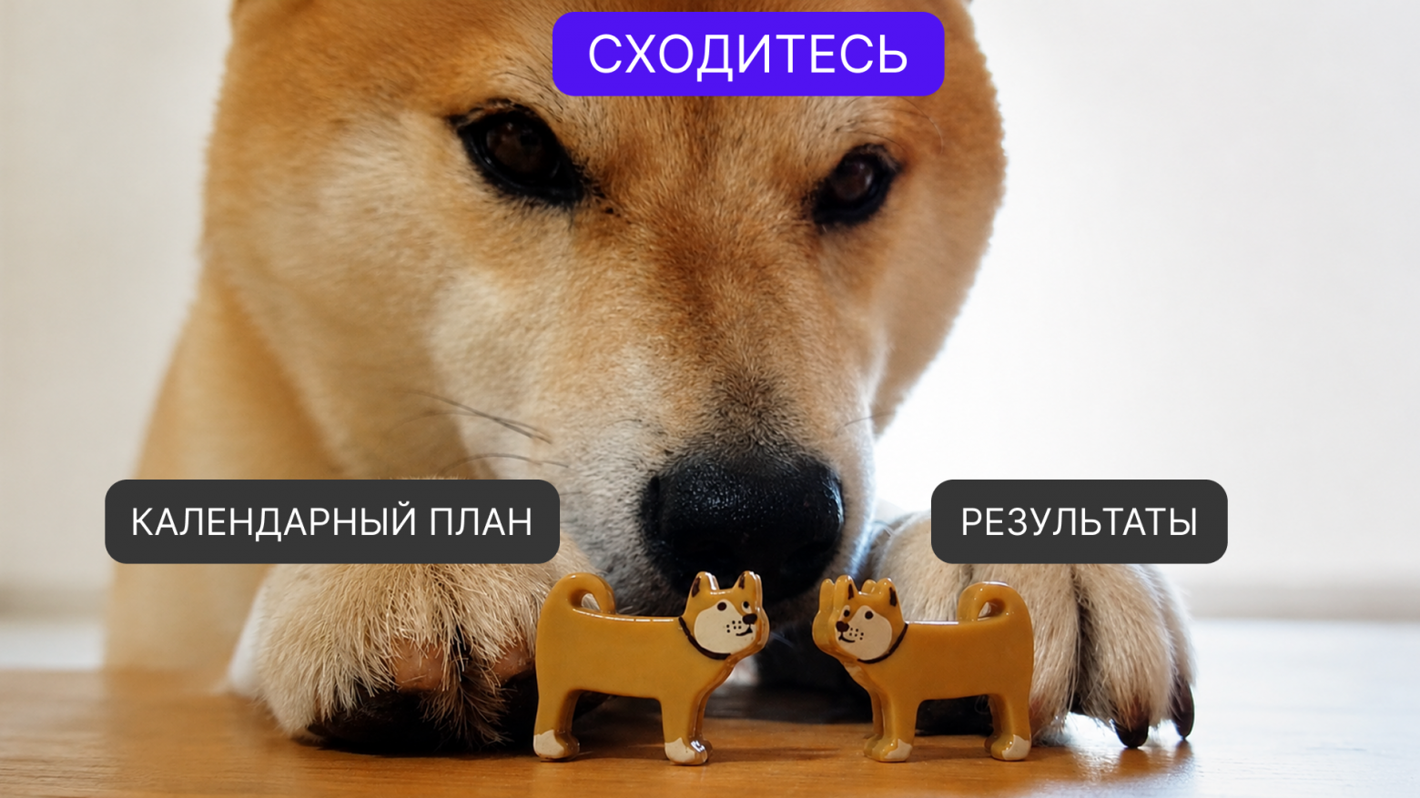 Грант: зачем он нужен и как не подписаться на чужие обещания - 1 Грант: зачем он нужен и как не подписаться на чужие обещания - 1