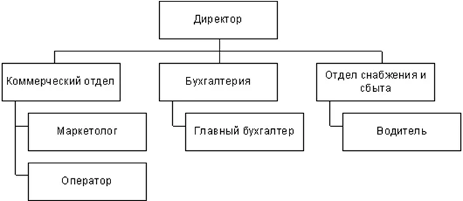 Рис. 2 Типовая организационная структура (источник: типовая схема организационной структуры)