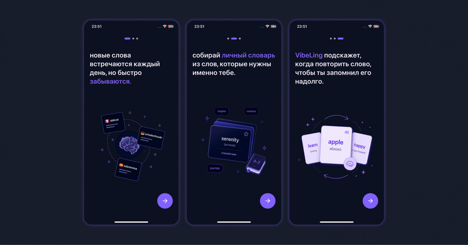 Информация о приложении VibeLing