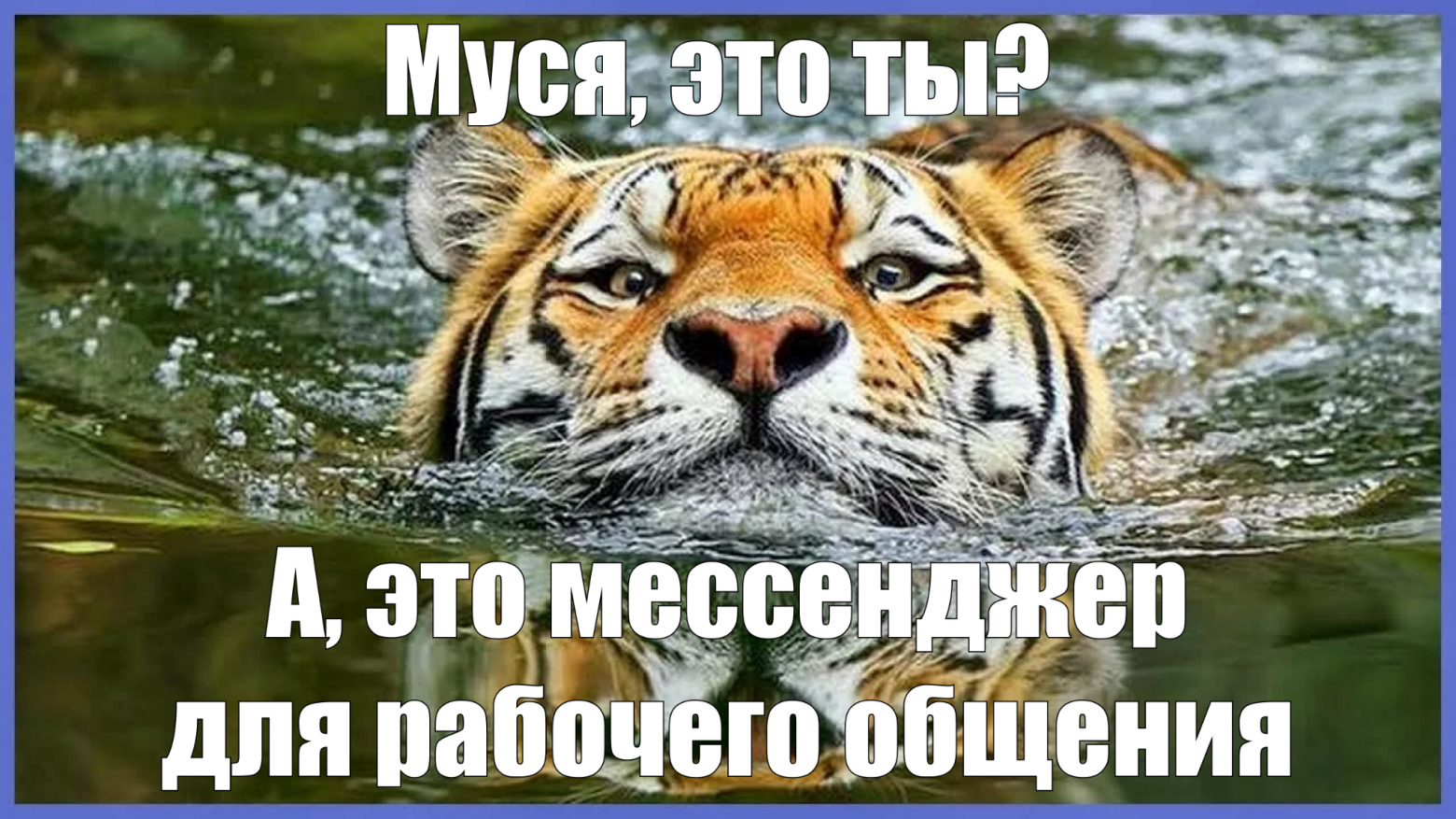 Мы не хотели переходить в MAX. Как мы развиваем открытый корпоративный мессенджер, часть 2 - 1 Мы не хотели переходить в MAX. Как мы развиваем открытый корпоративный мессенджер, часть 2 - 1