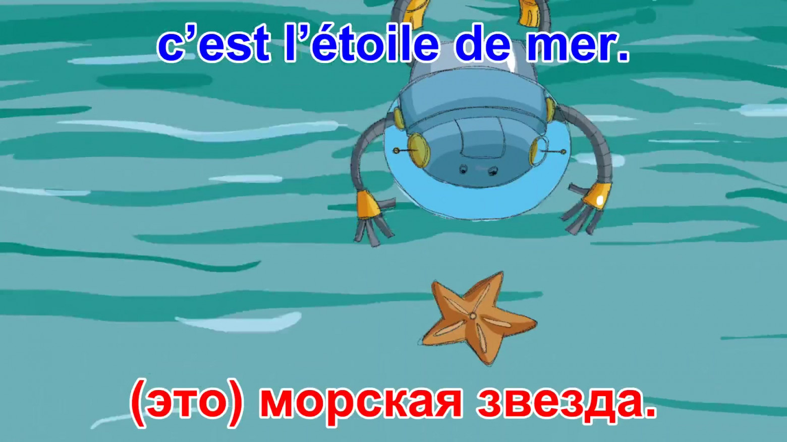 Рис. 4. это морская звезда.