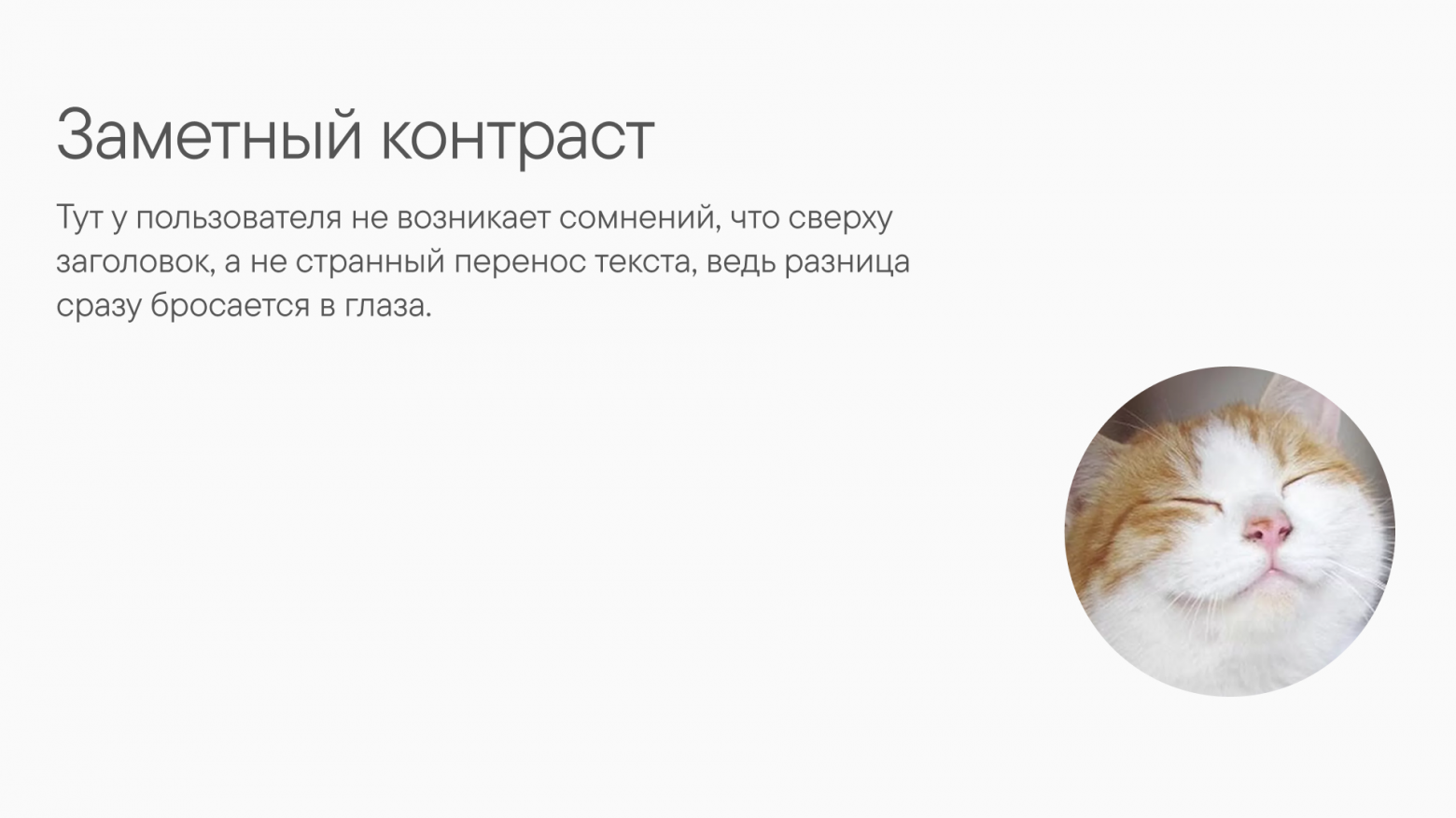 Пример хорошего контраста
