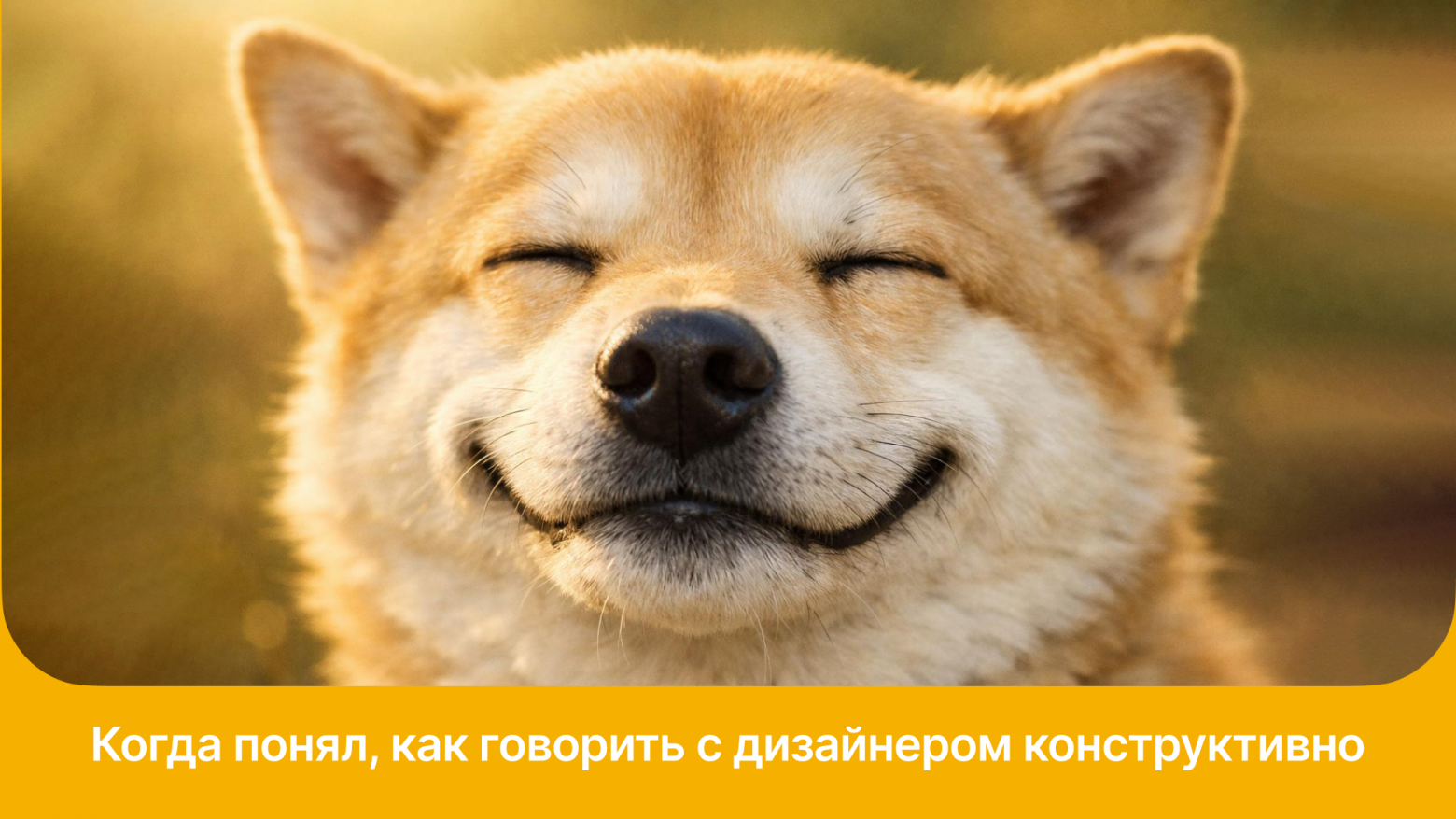 «М̶н̶е̶ п̶р̶о̶с̶т̶о̶ н̶е̶ н̶р̶а̶в̶и̶т̶с̶я̶». Как оценить дизайн, если ты не дизайнер: пошаговая инструкция - 1