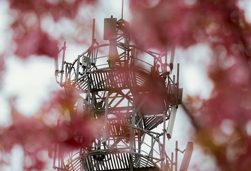 Фотография: Declan Sun / Unsplash