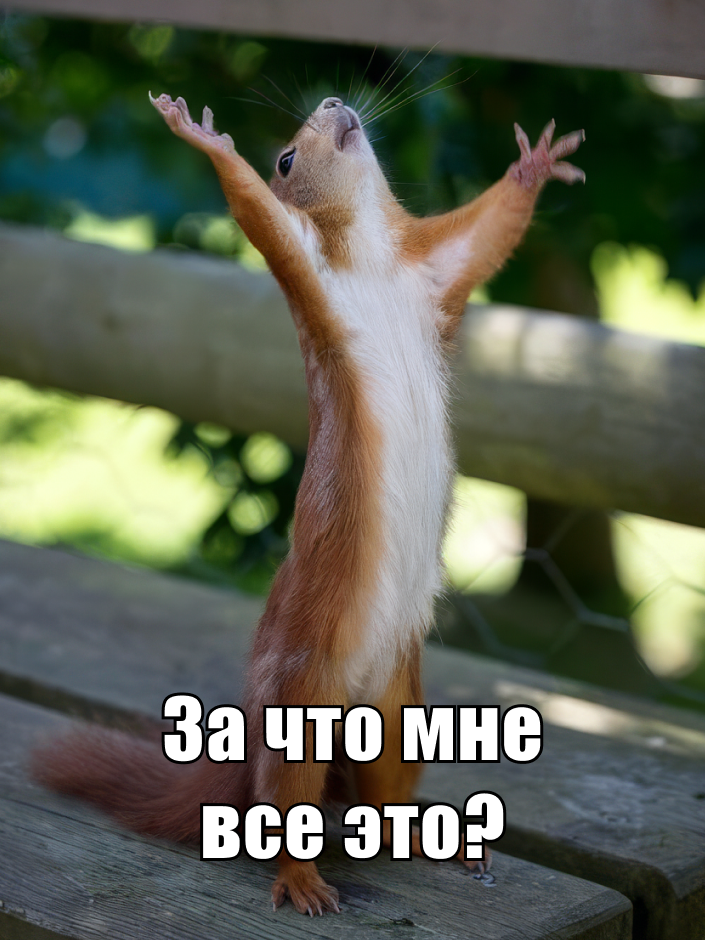 Игра по новым правилам. ГОСТ Р 72160-2025: что это — очередной навязанный стандарт или рабочая система - 8