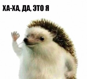 Довели — снова. Поднимаем корпоративный Forgejo локально. Пошаговый гайд - 2
