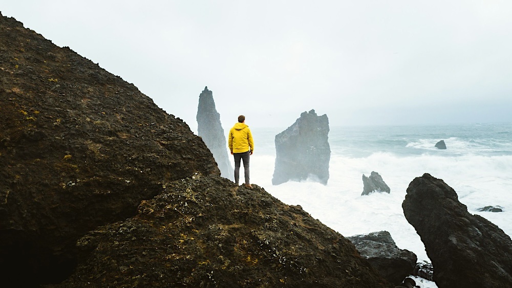 Изображение: Bruno van der Kraan (Unsplash License)
