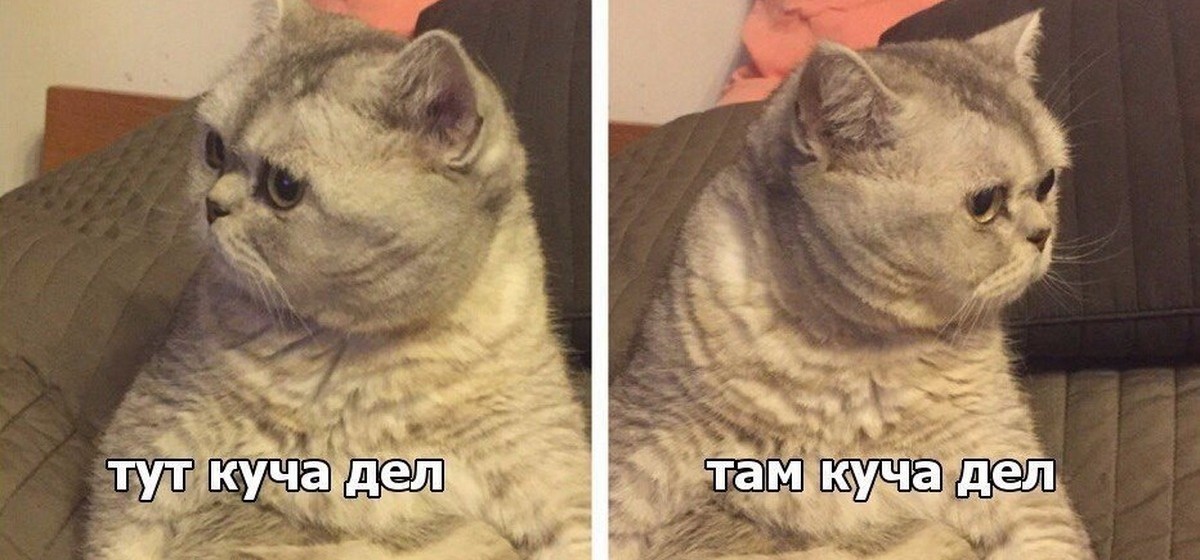 Тут работа, там семья.