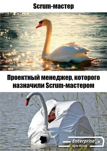 Источник.