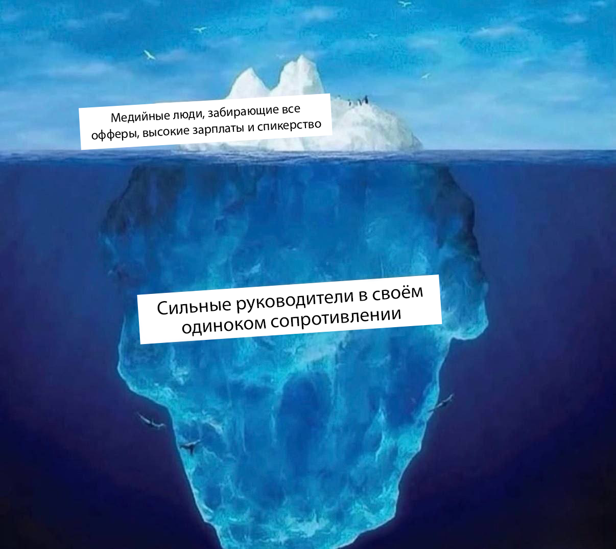 Что выбираете вы?