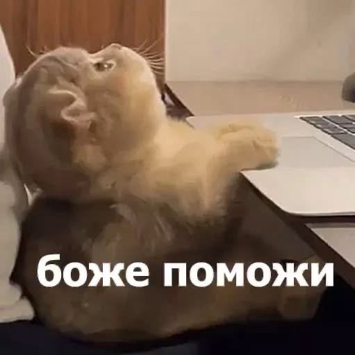 Почему долгоиграющие планы в ИТ больше не работают и что использовать вместо них - 1 Почему долгоиграющие планы в ИТ больше не работают и что использовать вместо них - 1