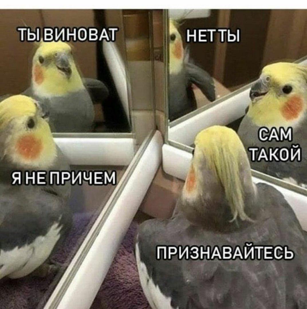 Когда ищешь виноватого 