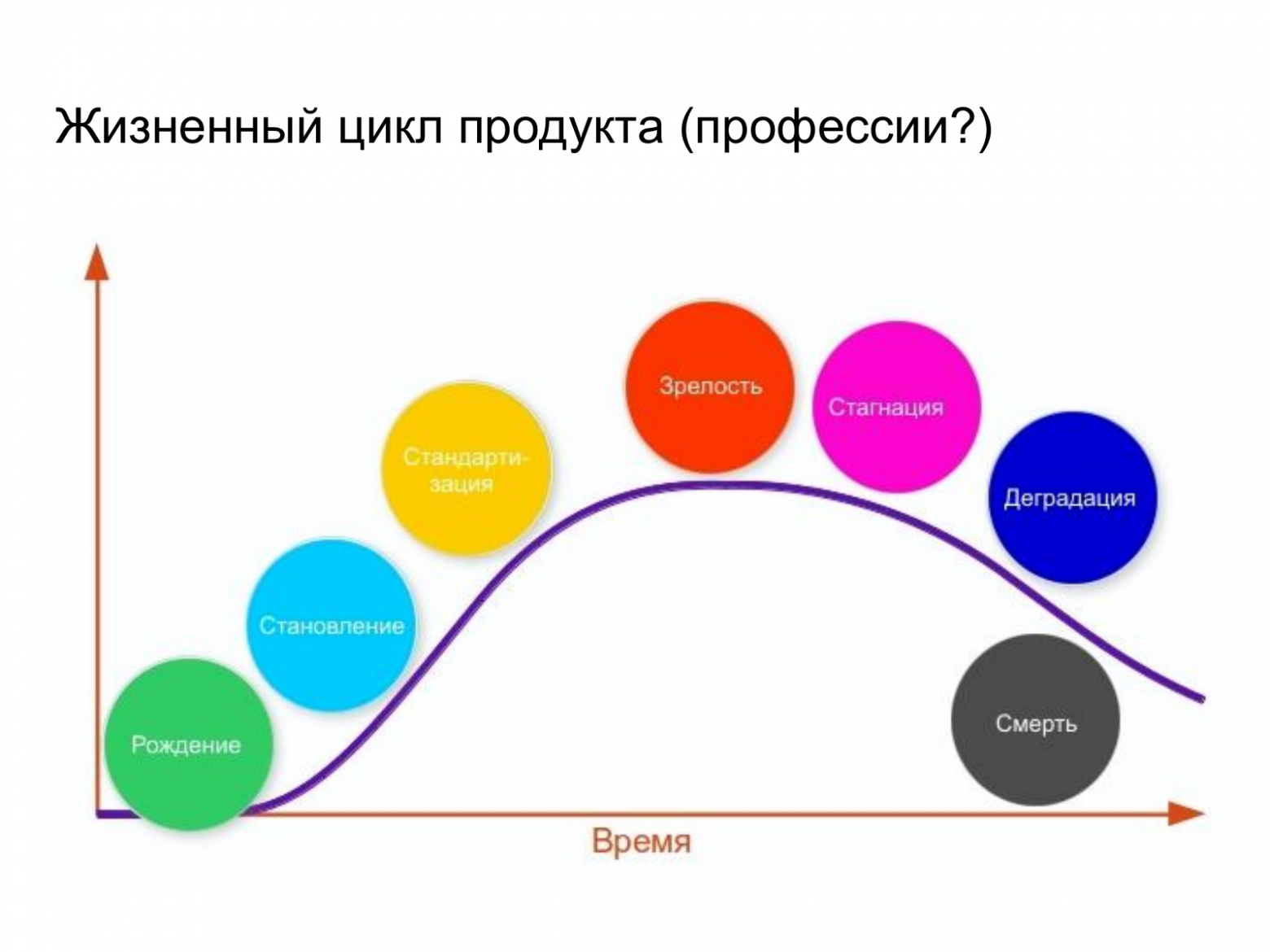 Жизненный цикл продукта и профессии: схема из презентации