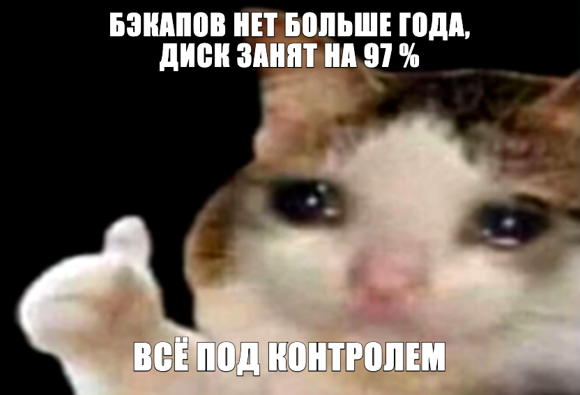 Резервное копирование на момент разбора