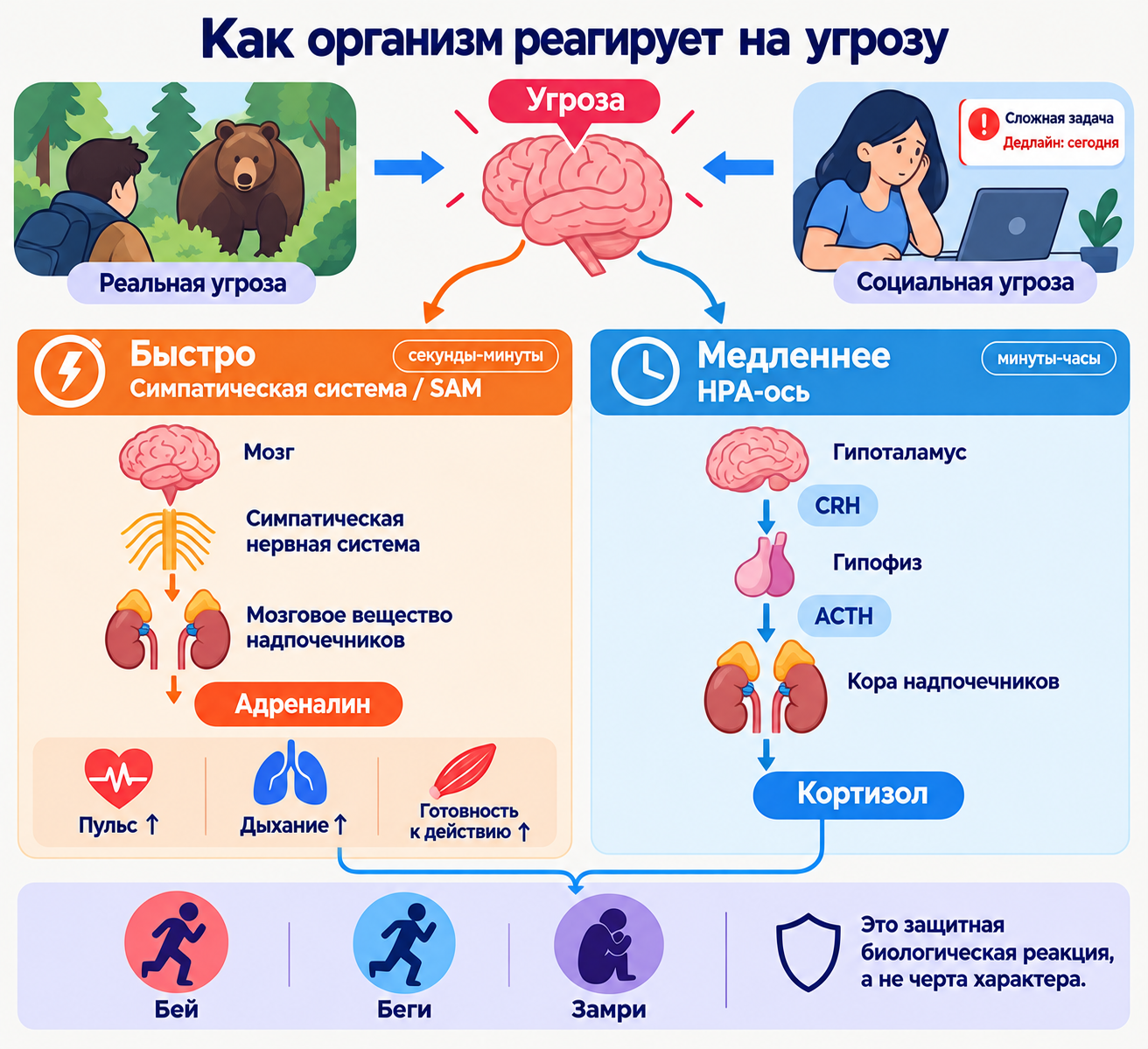 Психологическая броня: как оставаться стрессоустойчивым, если сроки горят - 1