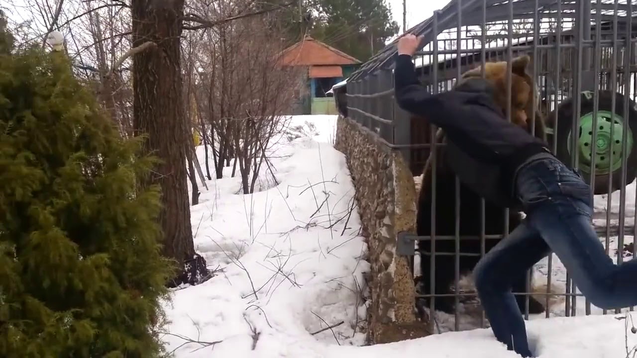 Доисторический мем в студии, мое почтение, если узнали