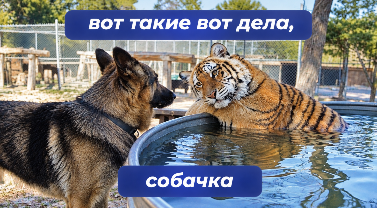 Запрещенные площадки для рекламы: как не нарваться на штраф в 2026-27 году? - 1 Запрещенные площадки для рекламы: как не нарваться на штраф в 2026-27 году? - 1
