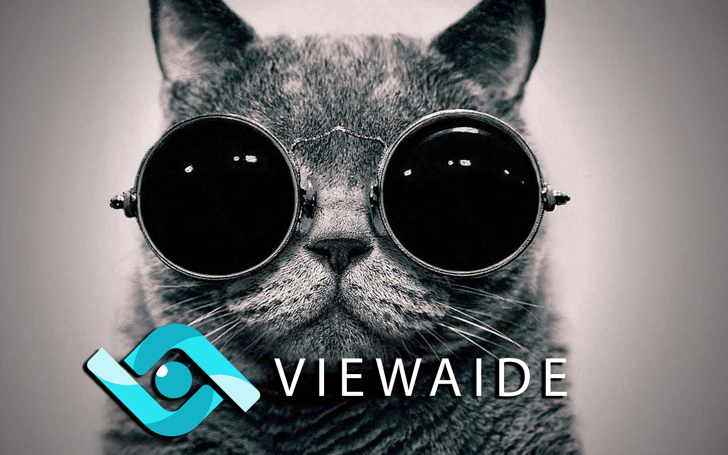 Viewaide: теперь и web сервис