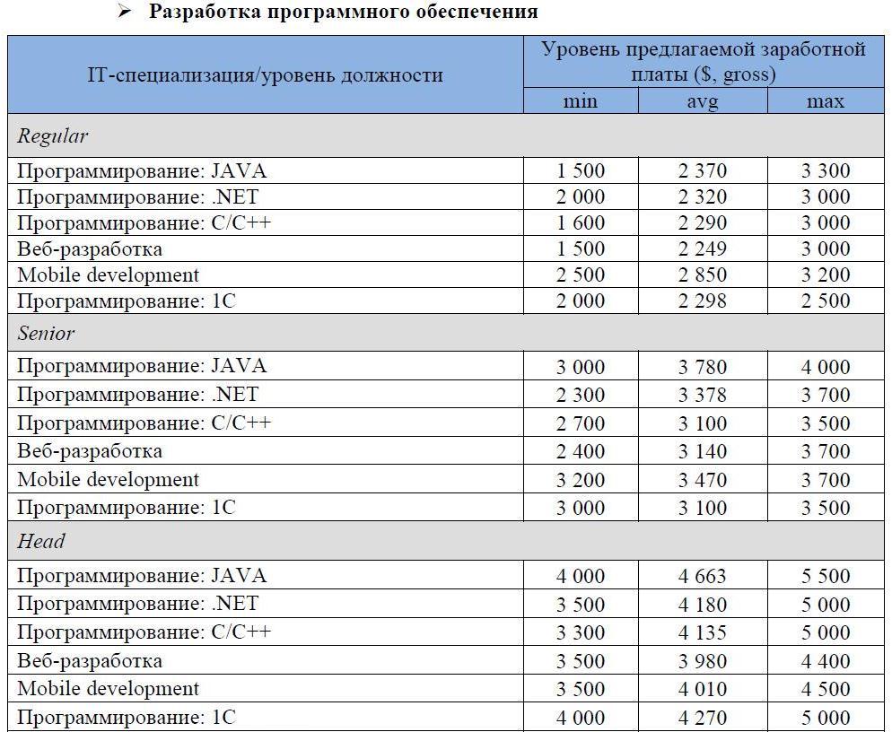 Аналитический обзор рынка труда IT специалистов в Украине за 2013 год